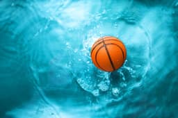 What Is WASL Basketball And Why Are Fans Following It Closely? - News