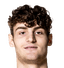 Alessandro Ferrari - Team Tezenis Verona Results