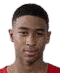 Guillermo Navarro - Team Panama Live Basketball