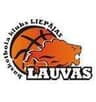BK Liepajas Lauvas - Team Kk Parnu Live Score Today
