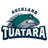 Auckland Tuatara - Player Samuel Timmins 75450 Sport