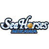 SeaHorses Mikawa - Player Davante Gardner 15135 Scores
