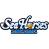 SeaHorses Mikawa - Team Levanga Hokkaido Scores