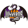 Yamagata Wyverns - Team Iwate Big Bulls Result