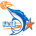 Fujian Xunxing Sturgeons - CBA Basketball