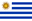 live score, sport predictions, fixtures and odds - Americup Usa Vs Uruguay Basketball