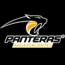 Panteras - Live Lnbp Mineros De Zacatecas Vs Panteras