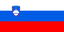 Slovenia - Fiba Eu Qualifier Basketball Result