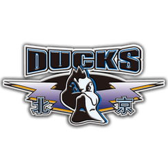 Beijing Shougang Ducks - Player Zhao Rui 13304 Result