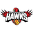 lllawarra Hawks - Player Fcameron 23741 Basketball