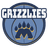 Memphis Grizzlies - WNBA Prediction