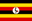 live score, sport predictions, fixtures and odds - Fiba Af Qualifier Egypt Vs Uganda Basketball