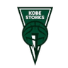 Kobe Storks - Team Osaka Evessa Live Basketball