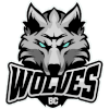 BC Wolves - Bc Wolves Vs Mazeikiai Live Basketball