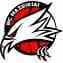 Mazeikiai - Bc Wolves Vs Mazeikiai Results
