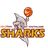 Southland Sharks - Player Samuel Timmins 75450 Live
