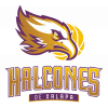 Halcones Xalapa - Lnbp Halcones Xalapa Vs Mineros De Zacatecas Schedule