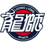 Guangzhou Loong Lions - Team Guangzhou Loong Lions Live Score Today