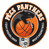 PVSK Pannonpower Pecs - Szedeak Vs Pvsk Pannonpower Pecs Schedule