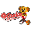 Mitsubishi Electric Dolphins Women - Japan Wjbl Hitachi Hitech Cougars Women Vs Mitsubishi Electric Dolphins Women Live Basketball