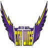 Hochiminh City Wings - PBA Prediction