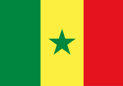 Senegal - Player Jboissy 62950 Live Score Today