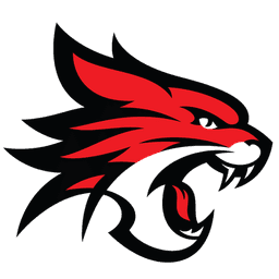 Perth Wildcats - Player D Windler 13751 Basketball
