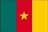 Cameroon - Player Mangok Mathiang 11917 Basketball Score