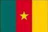 Cameroon - Team Cameroon Basketball Score