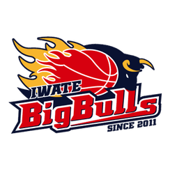 Iwate Big Bulls - Player Hiroki Usui 15561 Results