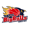 Iwate Big Bulls - Team Iwate Big Bulls Results