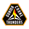 Gunma Crane Thunders - Team Altiri Chiba Sport