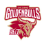 Zhejiang Golden Bulls - Team Zhejiang Golden Bulls Scores