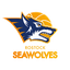 Rostock Seawolves - Bbl Basketball Live Score