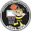 Yamanashi Queen Bees Women - Yamanashi Queen Bees Women Vs Aranmare Akita Women Live