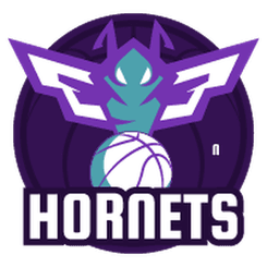 Charlotte Hornets - Player Tidjane Salaun 83605 Basketball Score