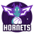 Charlotte Hornets - Player Mamini 75795 Basketball Score