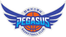 Daegu KOGAS Pegasus - Live Team Goyang Sono Skygunners