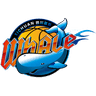 Sichuan Jinqiang Blue Whales - Team Sichuan Jinqiang Blue Whales Basketball