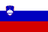 Slovenia - National Basketball Association