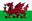 Wales - Team The New Saints 298508 Results