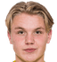 Teodor Walemark - Team Ik Brage 298954 Football Live