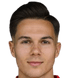 Daniel Klicnik - Team Sc Gleisdorf 302615 Football Live Score