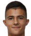 slobodan stanojlovic - Live Team Francs Borains 310185