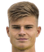 Mathias Gindl - Team Neusiedl 298995 Sport