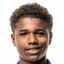Liam Christopher West - Team Fc Kobenhavn U 309932 Results