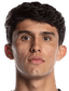 Efrain Morales - Team Bolivia 298610 Football Live