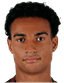 Alessandro Marcandalli - Team Genoa 304142 Live