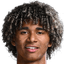 Pedro Lima - Team Wolves 303830 Live Football