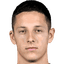 Domagoj Bradaric - Team Verona 304859 Football Result